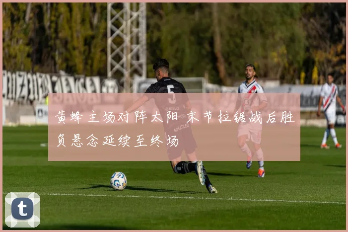 黄蜂主场对阵太阳 末节拉锯战后胜负悬念延续至终场