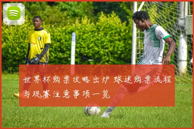 世界杯购票攻略出炉 球迷购票流程与观赛注意事项一览