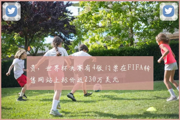 贵，世界杯决赛有4张门票在FIFA转售网站上标价近230万美元