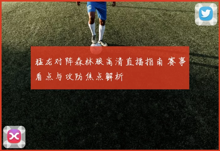 猛龙对阵森林狼高清直播指南 赛事看点与攻防焦点解析