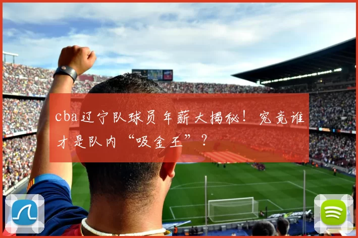 cba辽宁队球员年薪大揭秘！究竟谁才是队内“吸金王”？