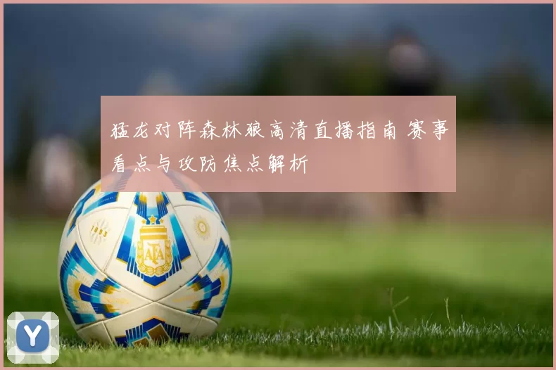 猛龙对阵森林狼高清直播指南 赛事看点与攻防焦点解析