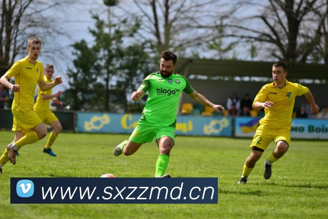 多媒体互动体验